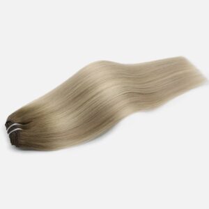 Sugar Cookie Clip In Extensions